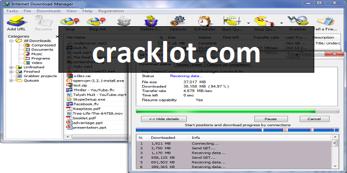 Internet Download Manager Crack